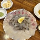 낭만주먹 | 부산 대연동횟집 코스요리처럼 계속 나오는 도다리회 맛집 낭만어부횟집