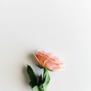 햅앤탭 이미지