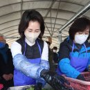 한재미나리영농조합법인 이미지
