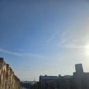 팀노마드 동해점 | 이탈리아 신혼여행 남부투어 기차 (노마드트래블 쿠쿠 가이드)