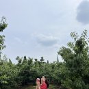 동민농장 이미지