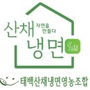 태백산채냉면영농조합 | [B2B/ 생산업체] 국내산 곰취 냉면 생산업체 방문기 #태백산채냉면영농조합