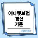 애니펫 이미지