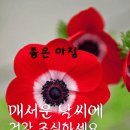동네지게차