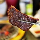 신마포갈매기 이미지