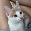 예체안경 | 배거나 개강로그