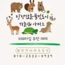 한들물빛푸르지오 205동 옆 | [대박매물] 탕정 한들물빛도시 하늘채 59B타입 남동향 즉시입주가능 옵션굿 매매