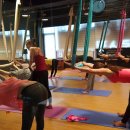 선샤인 GYM Daum카페