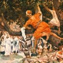 삭개오와뽕나무 이미지