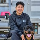 왕짱 애견스쿨 이미지