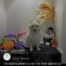 위드스테이부산 이미지
