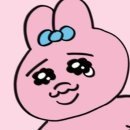 빤쮸 이미지