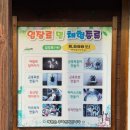 가재마을911동앞 | 어린 아이들과 함께 원주동물원 '원주곤충마을박물관' 곤충체험 내돈내산후기