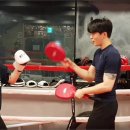 뱅뱅 복싱클럽 이미지