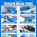 보은차유리