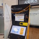 진해 군항제 벚꽃놀이 방문후기 : 벚꽃개화