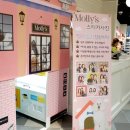 프리멍 샵 애견미용 이미지