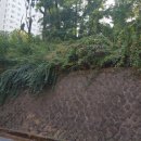 계림초등학교 이미지