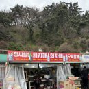 부산 조개구이 희자매 조개구이 솔직후기