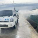 오리농장 이미지