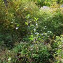 설악농장 이미지