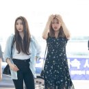 사뿐사뿐 이미지