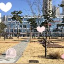 보람동_시드니하트 이미지