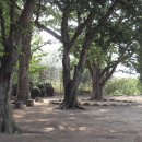 봉산초교 이미지