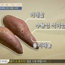 고구마 효능 아니 이럴 수가 이미지