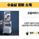 영주동물병원 이미지