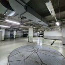 휴먼&카 이미지