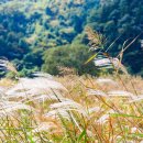 신풍공원 이미지