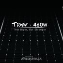 타이거솔라