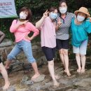 약초명가 이미지