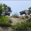 교학초등학교 이미지