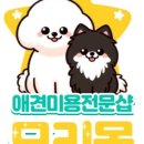 모리몽 이미지