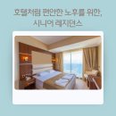 편안한시니어 네이버블로그