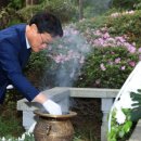 나야 카카오 검색결과