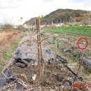 하계농장 이미지