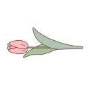 경기꽃직매장
