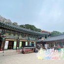 오션힐민박 이미지