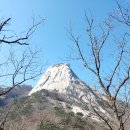 명상기공 이미지