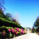 호텔그린토피아 | [양평 그린토피아/그린토피아 펜션/양평 펜션] 그린토피아 농촌체험학습장, 펜션 후기!!