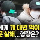 청년피자성 이미지