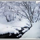 설국 - 서초구 서초중앙로24길 3 | 설국