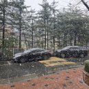 망포 베이커리 카페 - 베이커리 사월