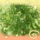 영재몬테소리유치원 이미지