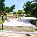 초롱공원 놀이시설 네이버블로그