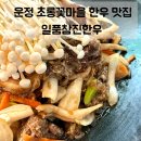 211-운정3-211 | 파주 운정 초롱꽃마을 한우 맛집 일품참진한우 한우불고기 점심식사 후기