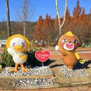 로하스대청공원 이미지